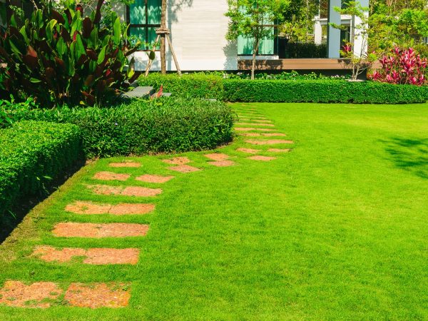 AdobeStock_210041352-1-min