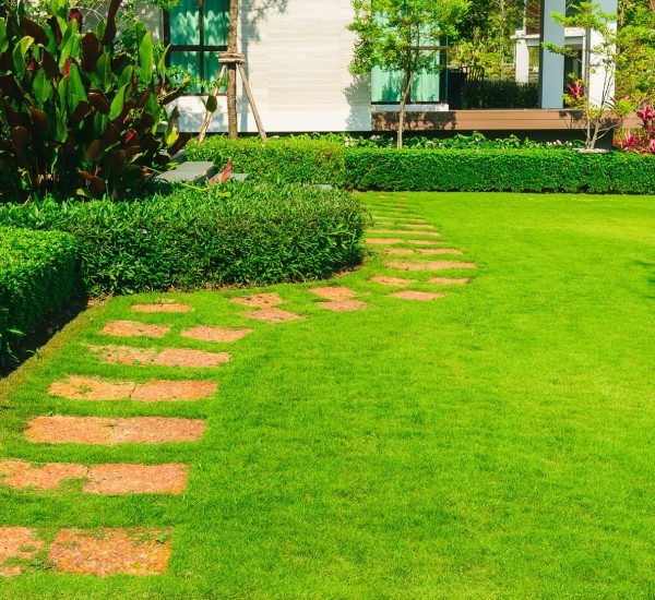 AdobeStock_210041352-1-min