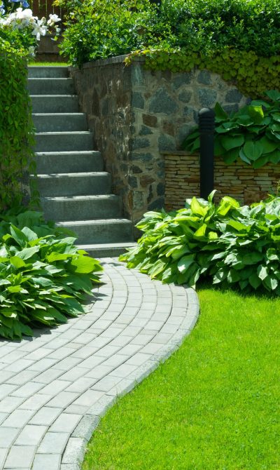 AdobeStock_229415757-1-min