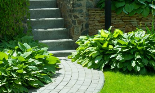 AdobeStock_229415757-1-min