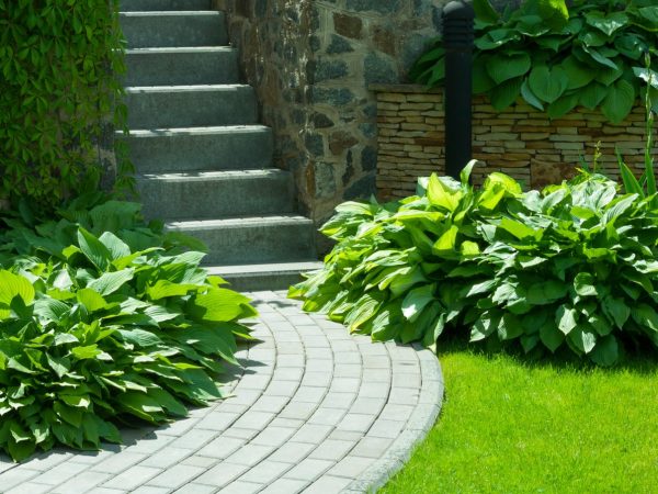 AdobeStock_229415757-1-min