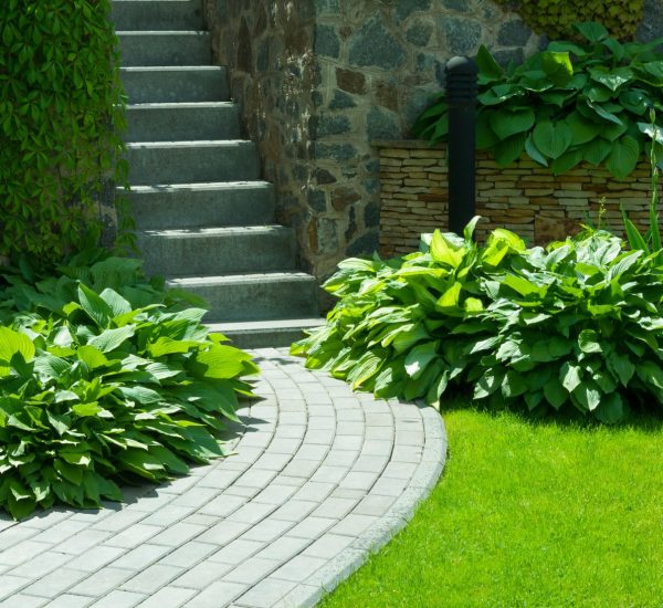 AdobeStock_229415757-1-min