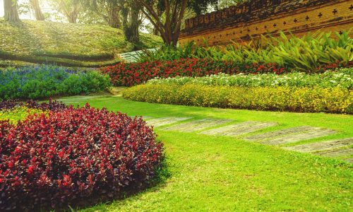 AdobeStock_240337542-1-min