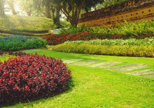 AdobeStock_240337542-1-min