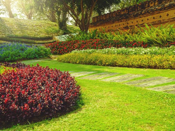 AdobeStock_240337542-1-min