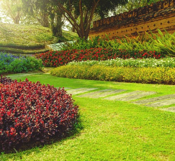 AdobeStock_240337542-1-min