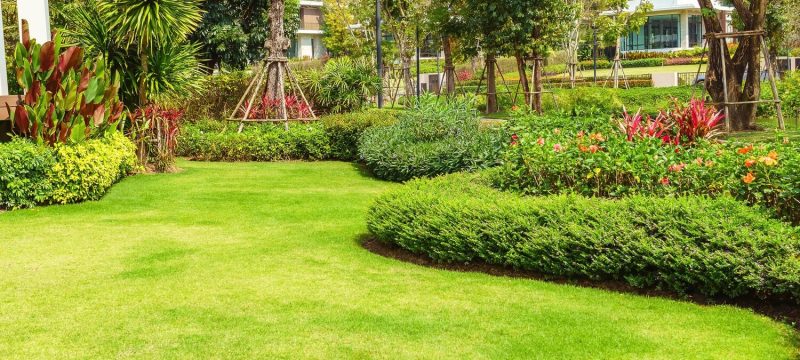 AdobeStock_267542410-1-min