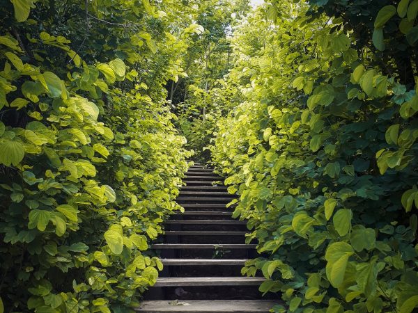 AdobeStock_372448226-1-min