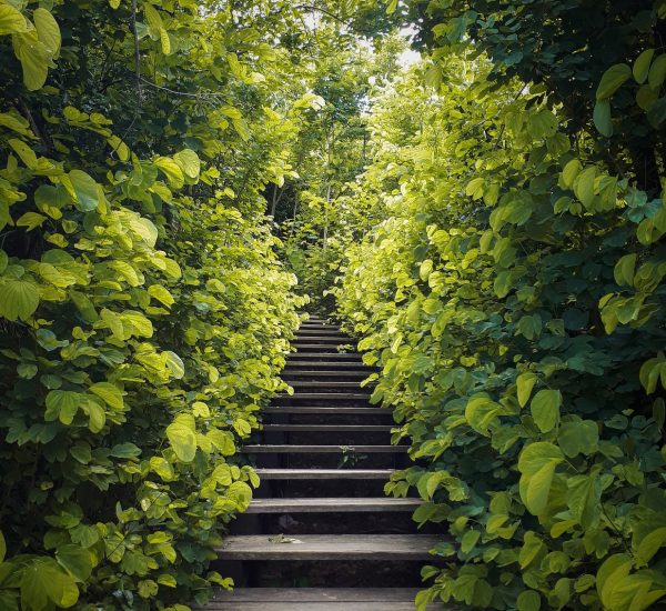 AdobeStock_372448226-1-min