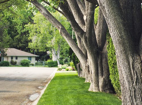 projects-07-1-e1730585728401